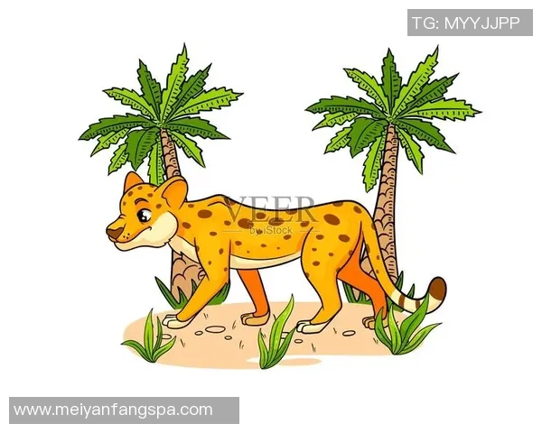 卡通风格的简单足球球星插画创作灵感展示与设计解析 卡通风格的简单足球球星插画创作灵感展示与设计解析