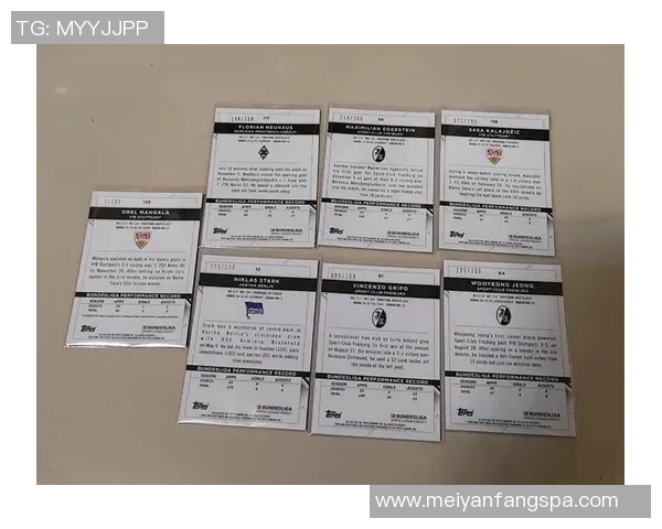 欧冠传奇球星帕尼尼足球卡收藏价值分析与市场趋势揭秘